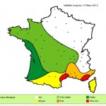 Cyprès2010